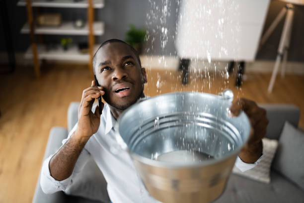 Best Flooded house restoration  in Eureka, CA