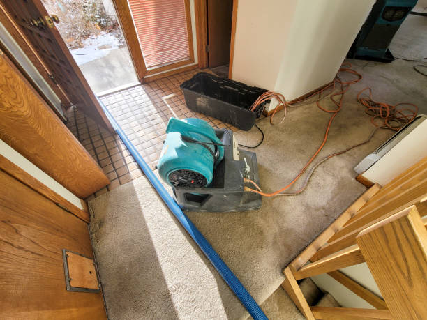 Best Carpet water damage restoration  in Eureka, CA
