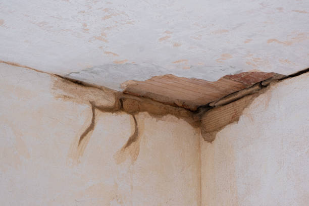 Best Ceiling water damage repair  in Eureka, CA
