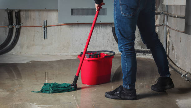 Best 24/7 water damage repair  in Eureka, CA