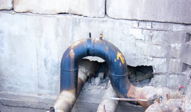Best Mold removal after water damage  in Eureka, CA