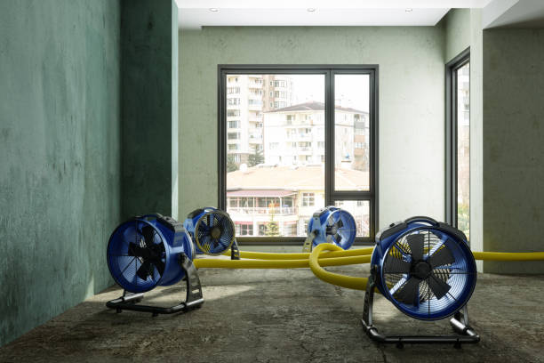 Best Flood damage cleanup  in Eureka, CA
